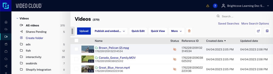 videos in media module